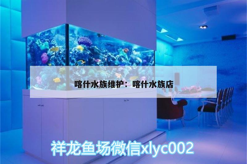 喀什水族維護(hù):喀什水族店