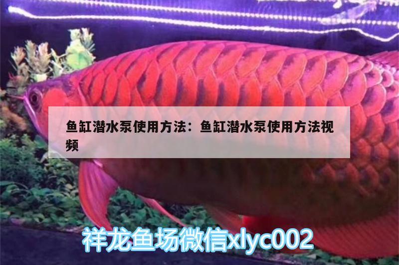 魚(yú)缸潛水泵使用方法:魚(yú)缸潛水泵使用方法視頻