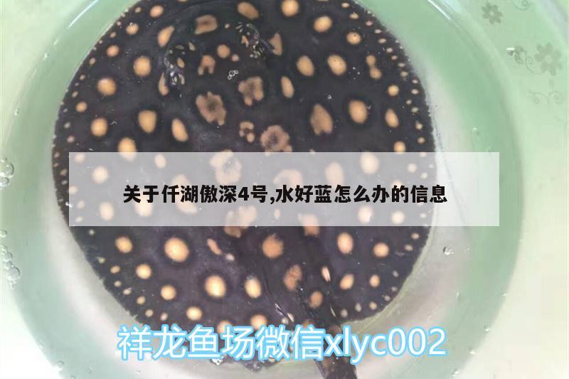 關(guān)于仟湖傲深4號,水好藍怎么辦的信息