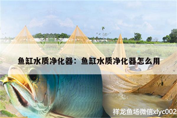 魚缸水質(zhì)凈化器:魚缸水質(zhì)凈化器怎么用 祥龍龍魚專用水族燈