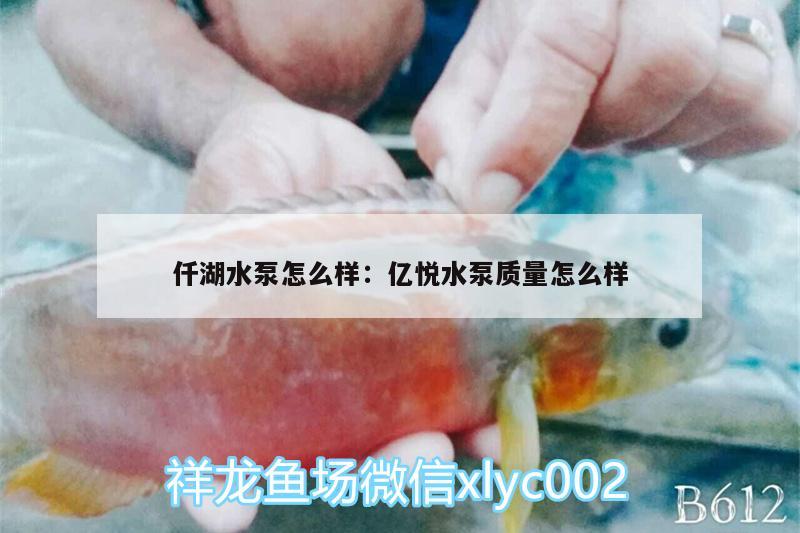 仟湖水泵怎么樣:億悅水泵質(zhì)量怎么樣