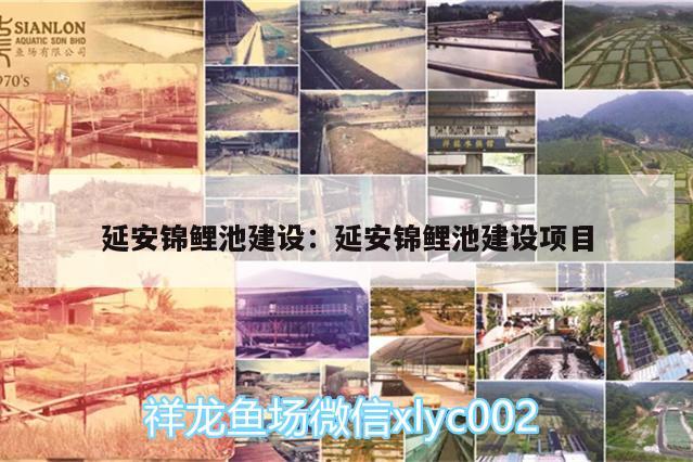 延安錦鯉池建設:延安錦鯉池建設項目 BD魟魚 第1張