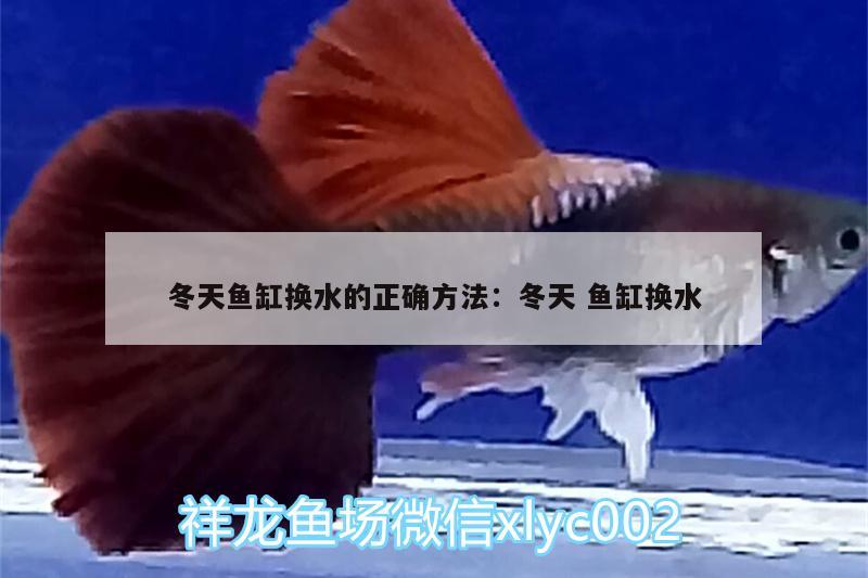 冬天魚缸換水的正確方法:冬天魚缸換水