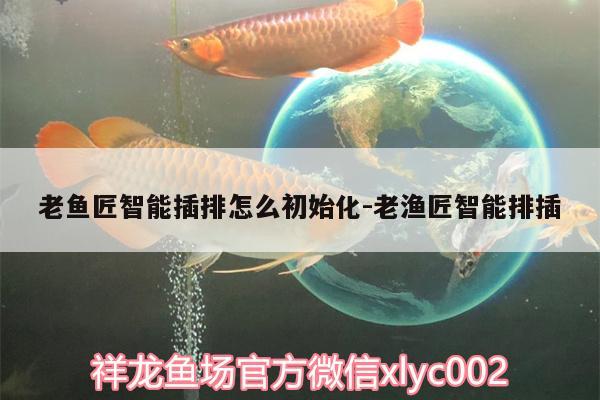 老魚(yú)匠智能插排怎么初始化:老漁匠智能排插 老魚(yú)匠