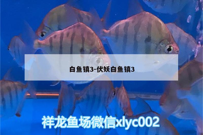 白魚鎮(zhèn)3:伏妖白魚鎮(zhèn)3 白寫錦鯉魚