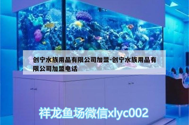 創(chuàng)寧水族用品有限公司加盟:創(chuàng)寧水族用品有限公司加盟電話