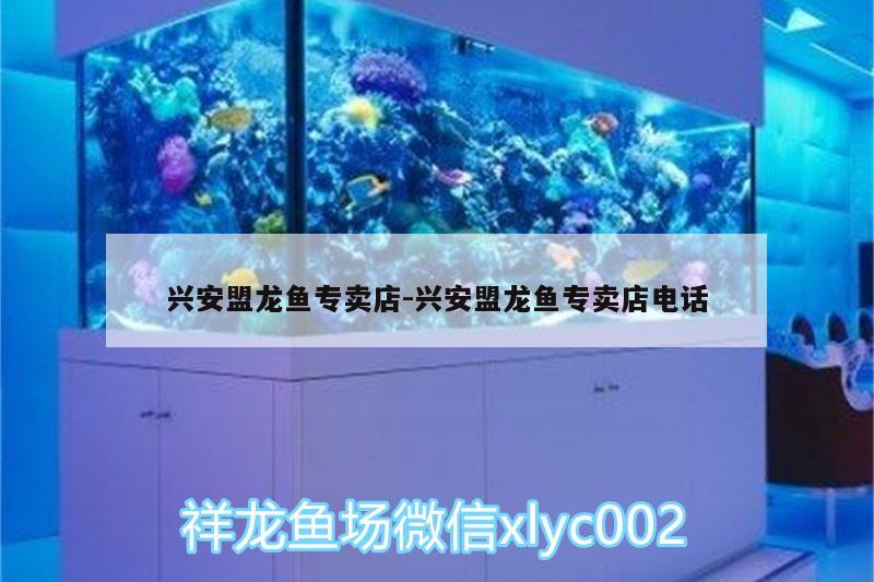 興安盟龍魚專賣店:興安盟龍魚專賣店電話 黑白雙星魚