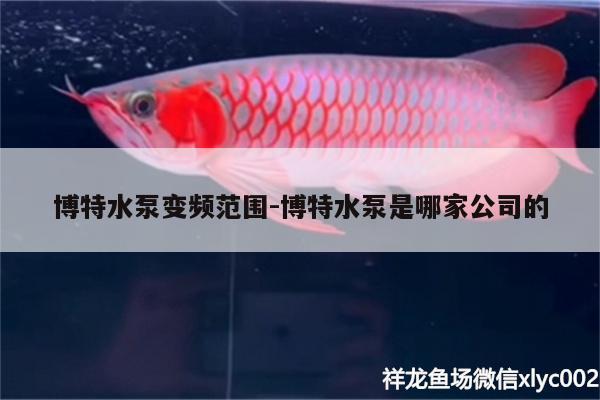 博特水泵變頻范圍:博特水泵是哪家公司的 博特水族