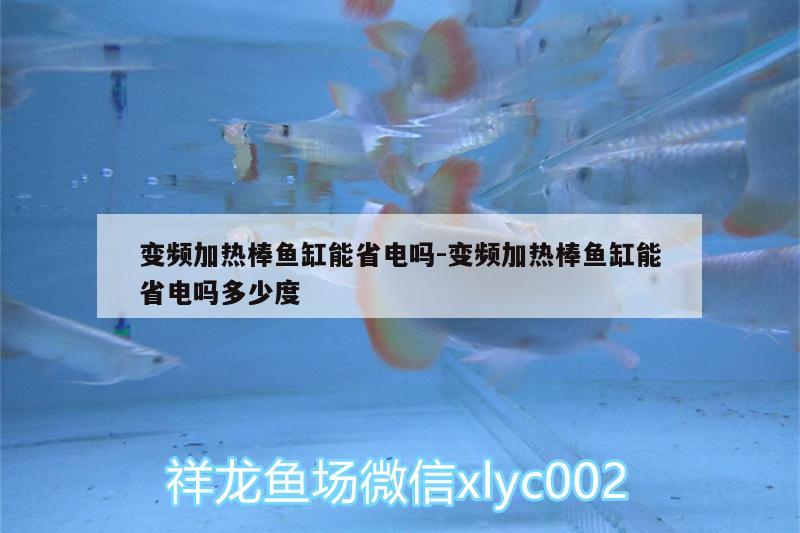 變頻加熱棒魚(yú)缸能省電嗎:變頻加熱棒魚(yú)缸能省電嗎多少度