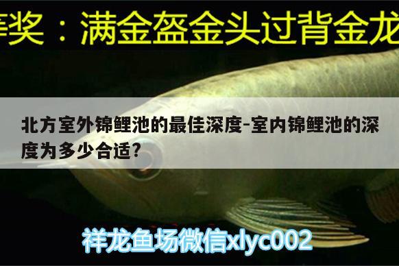 北方室外錦鯉池的最佳深度:室內(nèi)錦鯉池的深度為多少合適? 名貴錦鯉魚