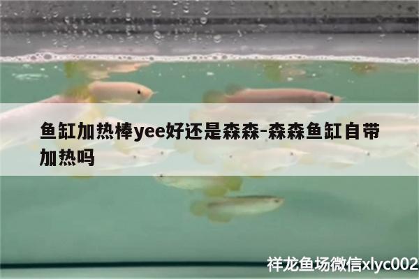 魚缸加熱棒yee好還是森森:森森魚缸自帶加熱嗎 yee