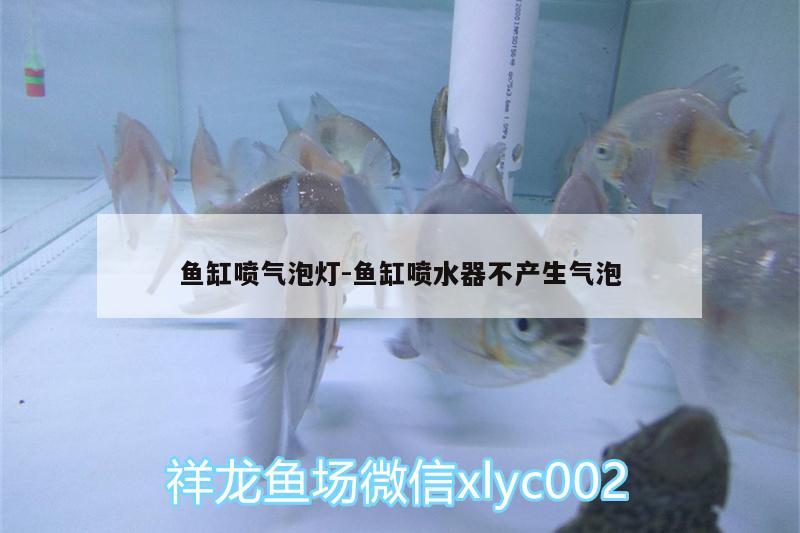 魚缸噴氣泡燈:魚缸噴水器不產(chǎn)生氣泡 狗仔（招財貓)魚苗