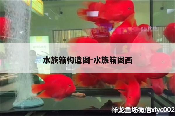 水族箱構(gòu)造圖:水族箱圖畫