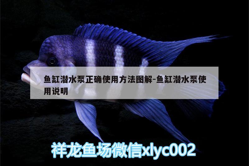 魚缸潛水泵正確使用方法圖解:魚缸潛水泵使用說明