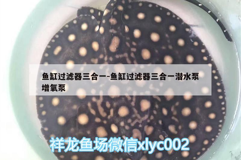 魚缸過濾器三合一:魚缸過濾器三合一潛水泵增氧泵 月光鴨嘴魚苗