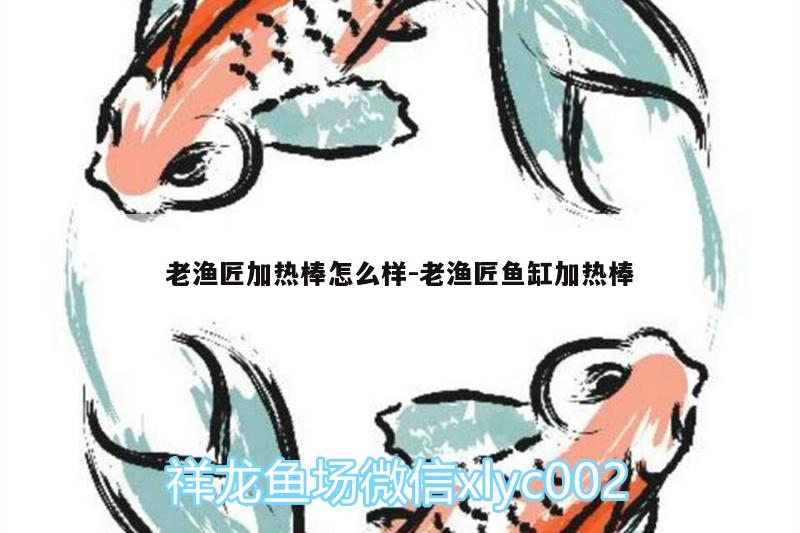 老漁匠加熱棒怎么樣:老漁匠魚(yú)缸加熱棒 泰國(guó)雪鯽魚(yú)