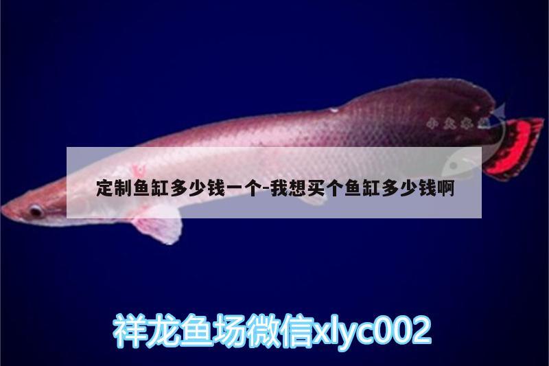 定制魚缸多少錢一個:我想買個魚缸多少錢啊 白子銀龍魚苗 第3張