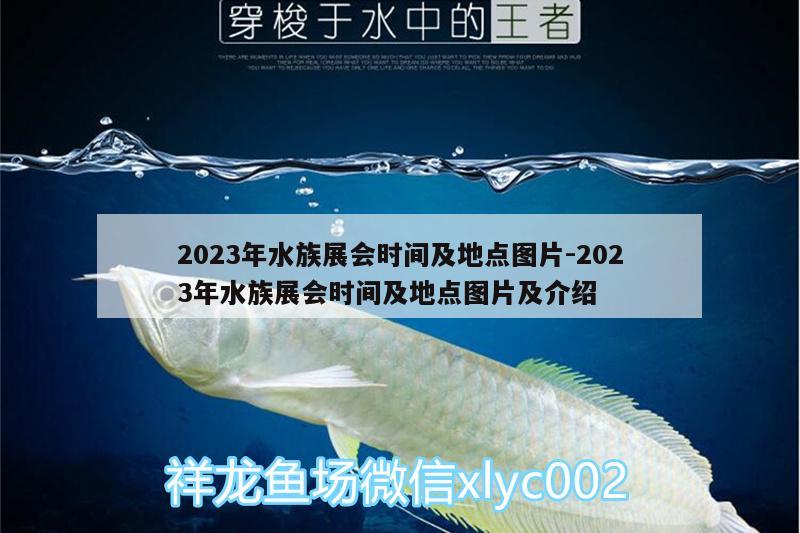 2023年水族展會(huì)時(shí)間及地點(diǎn)圖片:2023年水族展會(huì)時(shí)間及地點(diǎn)圖片及介紹