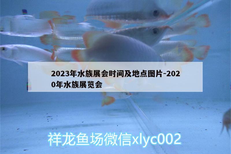 2023年水族展會時間及地點圖片:2020年水族展覽會 水族展會