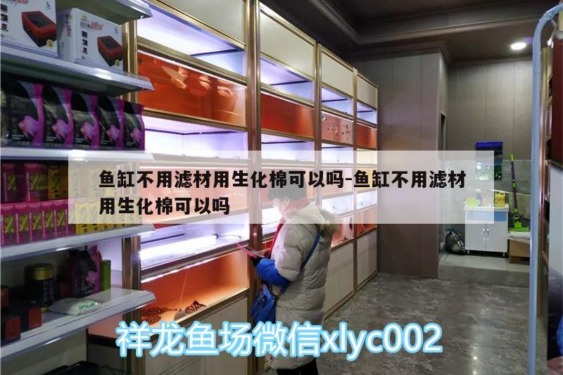 魚缸不用濾材用生化棉可以嗎:魚缸不用濾材用生化棉可以嗎