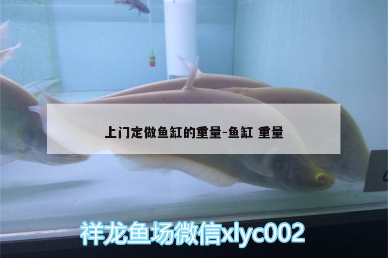 上門定做魚缸的重量:魚缸重量 魚缸/水族箱