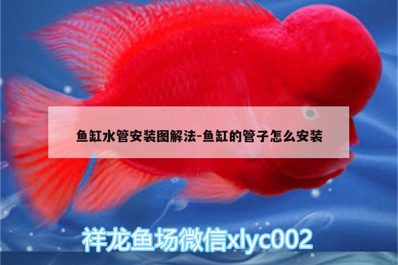 魚(yú)缸水管安裝圖解法:魚(yú)缸的管子怎么安裝