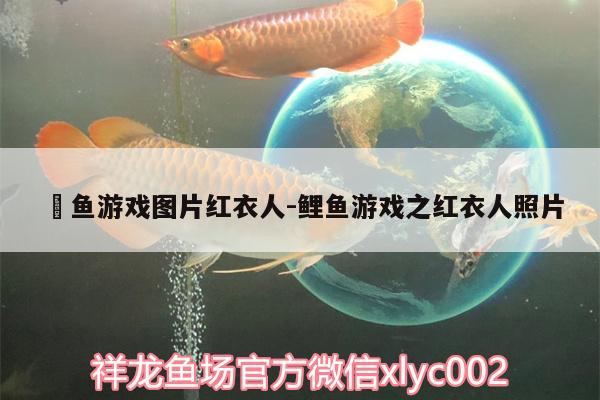 鲉魚游戲圖片紅衣人:鯉魚游戲之紅衣人照片 魚缸水泵