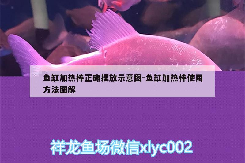 魚缸加熱棒正確擺放示意圖:魚缸加熱棒使用方法圖解