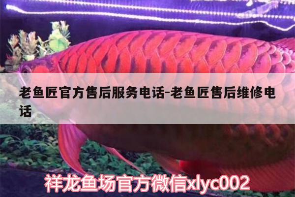 老魚匠官方售后服務(wù)電話:老魚匠售后維修電話 老魚匠