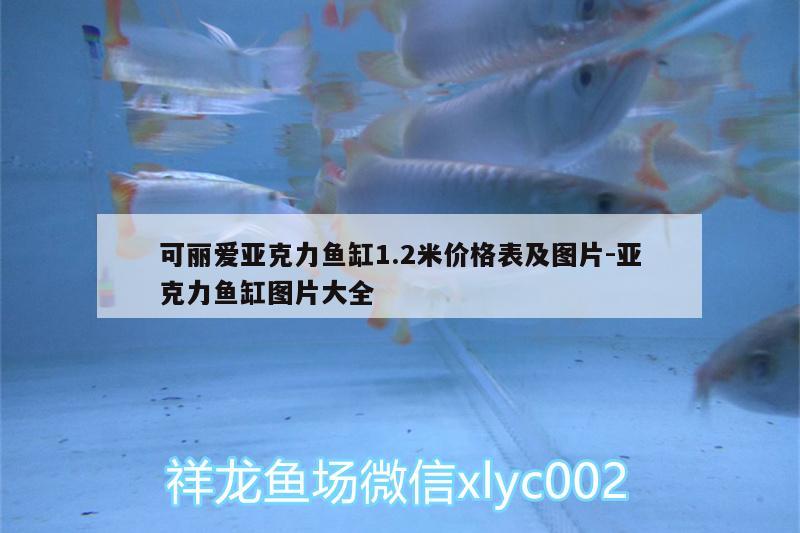 可麗愛亞克力魚缸1.2米價格表及圖片:亞克力魚缸圖片大全 觀賞魚水族批發(fā)市場