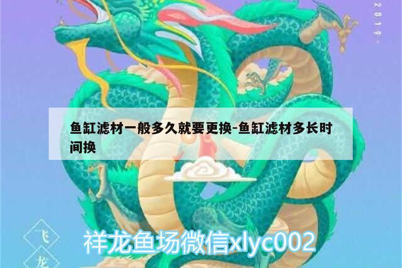 魚缸濾材一般多久就要更換:魚缸濾材多長時間換