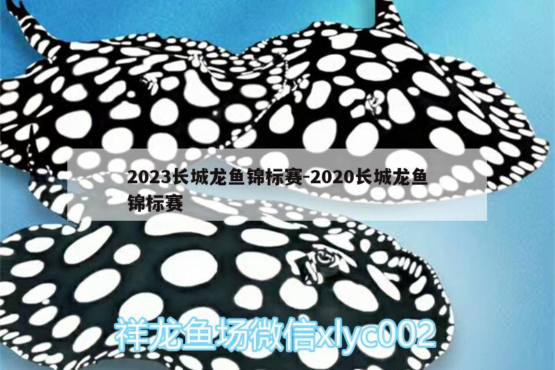 2023長城龍魚錦標(biāo)賽:2020長城龍魚錦標(biāo)賽