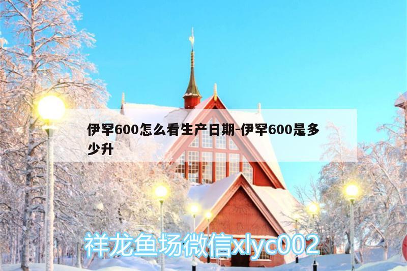 伊罕600怎么看生產日期:伊罕600是多少升