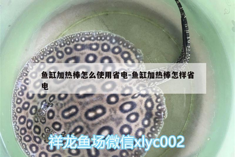 魚(yú)缸加熱棒怎么使用省電:魚(yú)缸加熱棒怎樣省電 BD魟魚(yú)