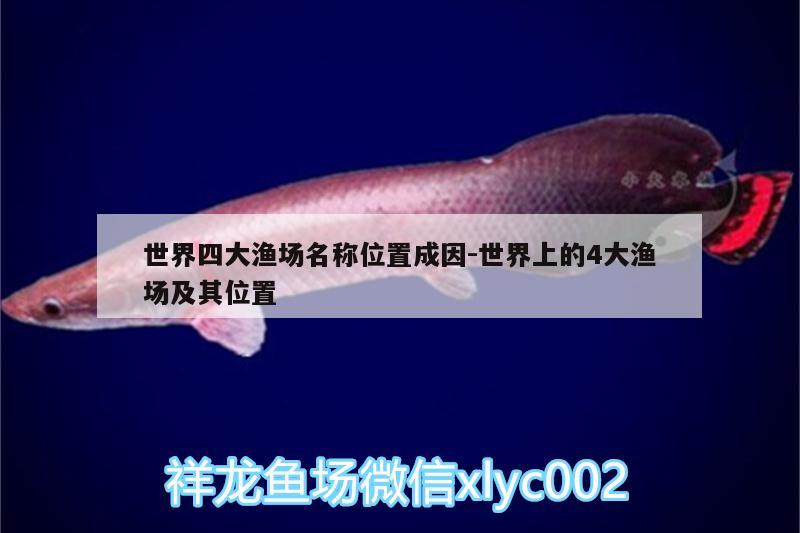 世界四大漁場名稱位置成因:世界上的4大漁場及其位置 錦鯉魚