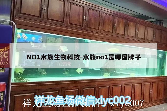 NO1水族生物科技:水族no1是哪國(guó)牌子 其它水族用具設(shè)備