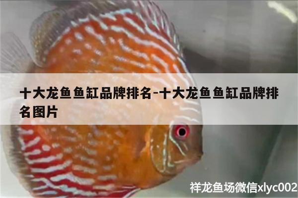 十大龍魚魚缸品牌排名:十大龍魚魚缸品牌排名圖片