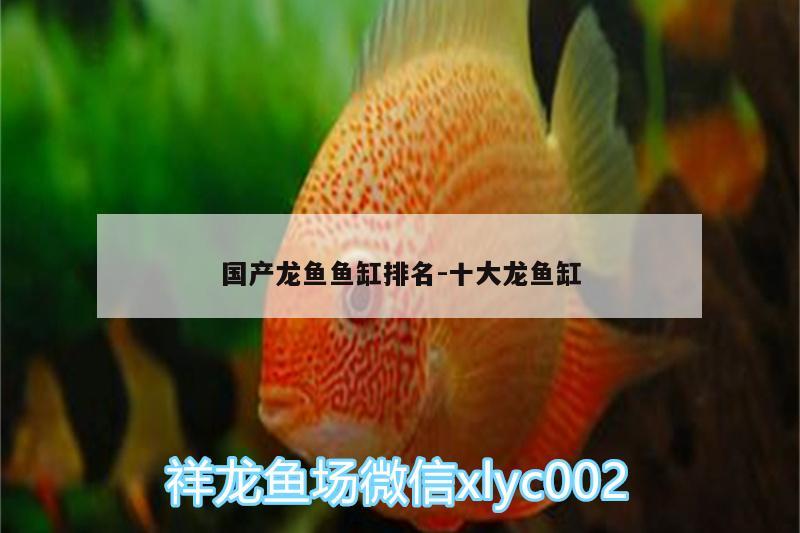 國(guó)產(chǎn)龍魚魚缸排名:十大龍魚缸