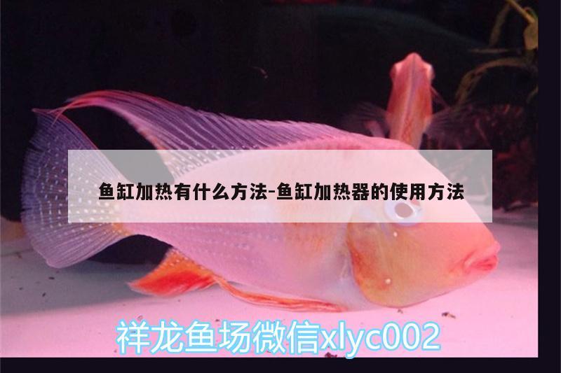 魚缸加熱有什么方法:魚缸加熱器的使用方法 白條過背金龍魚