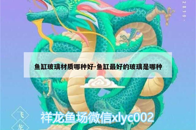 魚缸玻璃材質哪種好:魚缸最好的玻璃是哪種