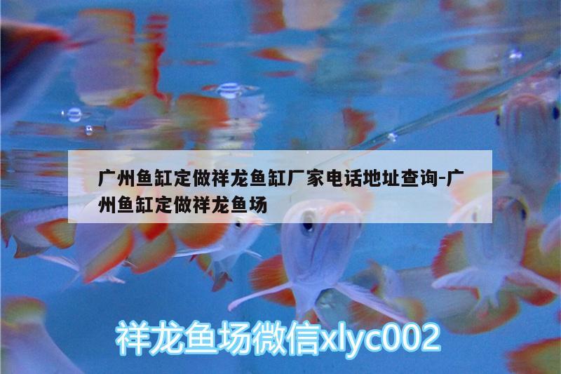 廣州魚缸定做祥龍魚缸廠家電話地址查詢:廣州魚缸定做祥龍魚場