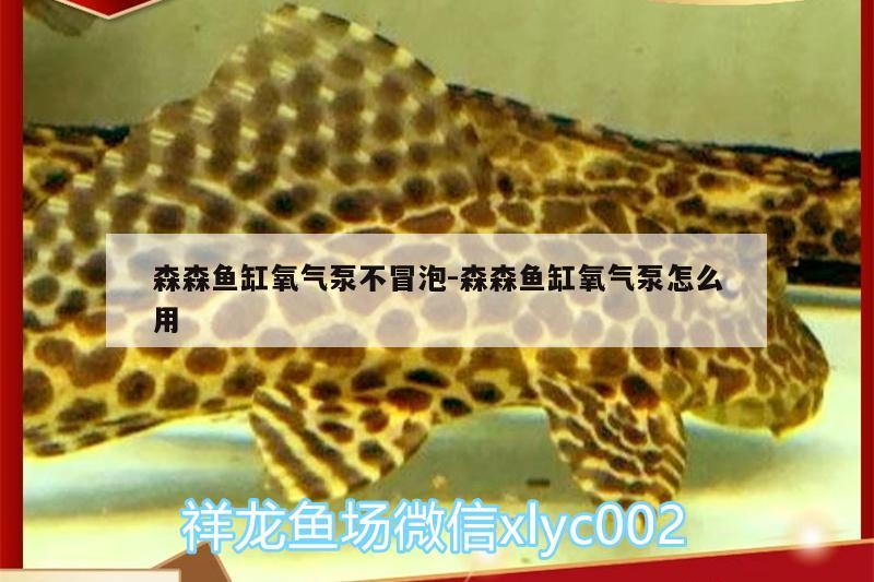 森森魚缸氧氣泵不冒泡:森森魚缸氧氣泵怎么用