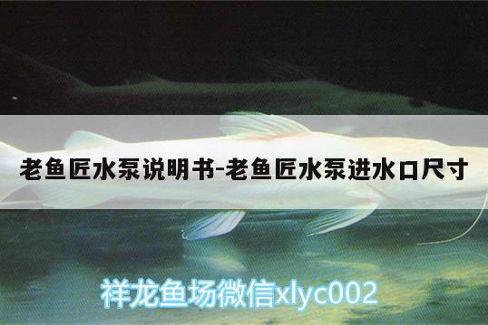 老魚匠水泵說明書:老魚匠水泵進水口尺寸