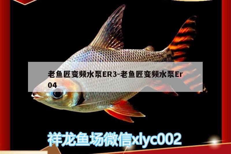 老魚(yú)匠變頻水泵ER3:老魚(yú)匠變頻水泵Er04 老魚(yú)匠