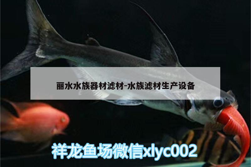 麗水水族器材濾材:水族濾材生產(chǎn)設(shè)備 黑桃A魚苗