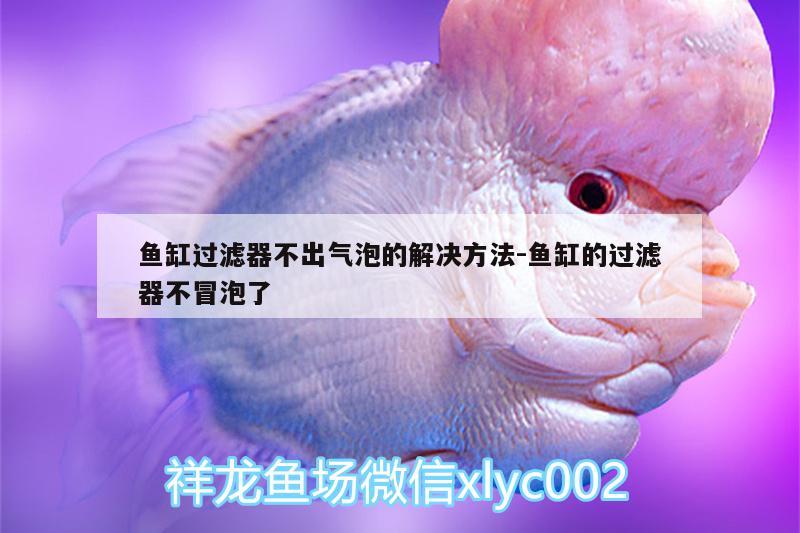 魚缸過濾器不出氣泡的解決方法:魚缸的過濾器不冒泡了