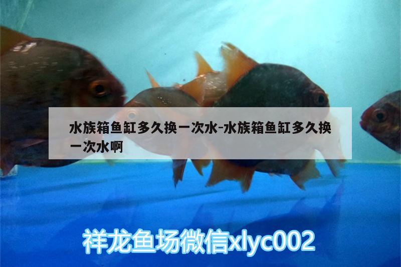 水族箱魚缸多久換一次水:水族箱魚缸多久換一次水啊 魚缸/水族箱