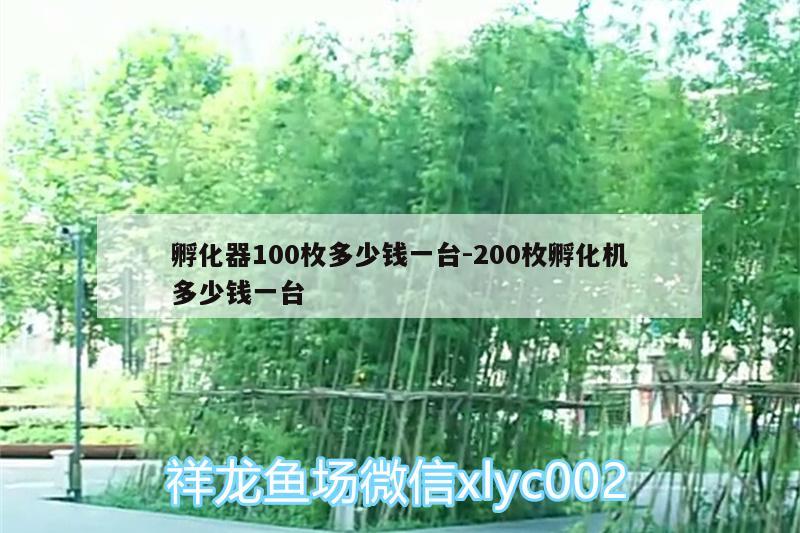 孵化器100枚多少錢一臺:200枚孵化機(jī)多少錢一臺