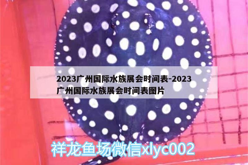 2023廣州國(guó)際水族展會(huì)時(shí)間表:2023廣州國(guó)際水族展會(huì)時(shí)間表圖片