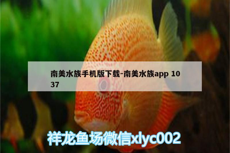 南美水族手機(jī)版下載:南美水族app1037